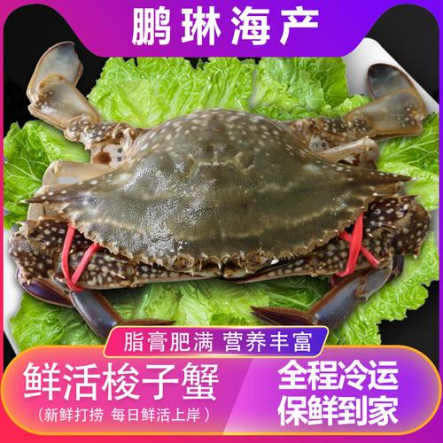 厂家货源 冷冻梭子蟹海产品青蟹海鲜 烧烤自助餐螃蟹 水产品批发